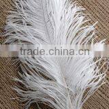Wedding Decoration Centerpieces Wholesale Ostrich Feather thumbnail-1