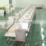 Spices Spreading Conveyor