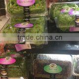 Stainless Steel Vegetable Washing Machine/machine for Fruit Washing thumbnail-6