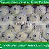 Golden Apple thumbnail-2