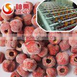 In Order to Healthy Select Organic Health Quick-frozen Hawthorn Berry Fresh Fruit thumbnail-4