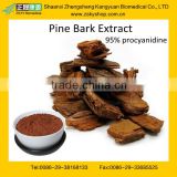 GMP Certificated Factory supply Best Quality Pine Bark Extract OPC