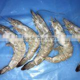 Frozen Vannamei Shrimp Price thumbnail-4