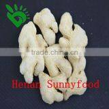 Exported Since 1992 High Quality Garlic Ginger Onion Chilli Chinese Dehydrated Vegetables thumbnail-1