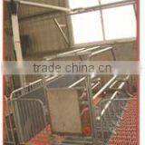 ^Poultry Equipment Farrowing Stall for Pigs Comfortable Environment for Piglets thumbnail-1
