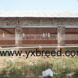 Poultry Evaporative Cooling Pad for Chicken House thumbnail-1