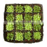 16 Boxes Grow Bag thumbnail-1