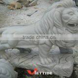 Roaring Lion thumbnail-1