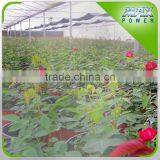 Flower Garden Greenhouse Irrigation Series thumbnail-4
