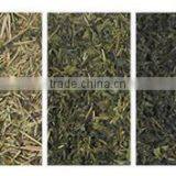 ZRWS Intelligent CCD Scented Tea Color Selecting Machine thumbnail-2