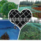 Olive Net, Anti-hail Net, Bird Net, HDPE Net, Plastic Net, pe Net,China Supplier. thumbnail-3