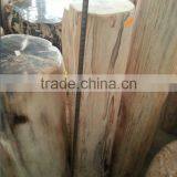 Petrified /fossilized Wood,Luxary Nature Decorative Stone,high Value for Collection thumbnail-1
