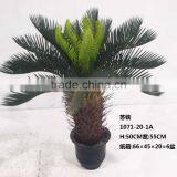 HX20170416 Mini Potted Cycad Tree for Decoration thumbnail-2