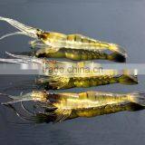 High Quality Fishing Bait Noctilucent Fishing Bait Artificial Fishing Bait Wholesale thumbnail-4