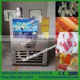 2 Moulds Popsicle Machine / Ice Lolly Machine / Popsicle Maker Making Manufacturer thumbnail-2