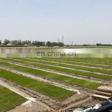 Kubota Latest Automatic Rice Nursery Sowing Machine thumbnail-4