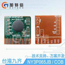 NY3P065JB NY3P087JB NY3P115JB  COB Nyquest Voice IC  Melody IC Speech IC OTP