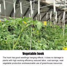 Metal Tomato Rope Hooks Support Clamps for Cucumber Tomato Pepper Eggplant Vines Flower Plant With PP Twine thumbnail-5