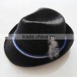 Non-woven Fabric Party Hats