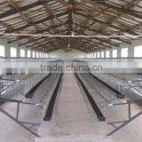 Wholesale Galvanized Layer Chicken Cages/Battery Cage thumbnail-2