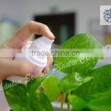 Olive Oil Spray Bottles, Pet Spray Bottle, Spray Bottle Pet thumbnail-1