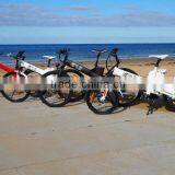 Seagull -China Factory Unique Design EN14764 Bicycle E-bike Middle Motor thumbnail-1