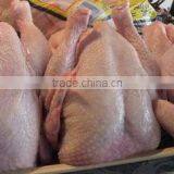 Frozen Chicken Whole Available for Sale thumbnail-1