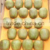 Fresh Red Kiwi Fruit thumbnail-5