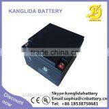 Sealed Lead Acid OEM Accumulator 12v24ah Maintenance Free Deep Cycle Batteries