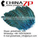 Hotselling CHINAZP Dyed Turquoise Blue Ringneck Wing Quills Feather for Party Decoration thumbnail-3