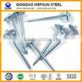WEFSUN Wholesale Iron Nails /Galvanized Steel Nails /Roofing Nails