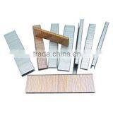 F Series Nail Staple (20GA) thumbnail-1