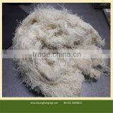 Factory Price White Cotton Waste thumbnail-1