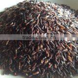 Organic Rice Berry From Thailand OEM thumbnail-1