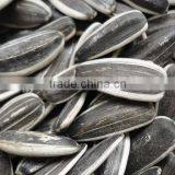 Price Of Sunflower Seeds 5009 With Good Quality Lowest Price thumbnail-2