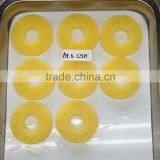 Choice Grade Canned Pineapple 8 Slices in Ligh Syrup From Thailand thumbnail-2