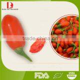 Manufacturer Wholesale Top Quality Chinese Organic Goji Berries/wolfberry/red Goji thumbnail-3