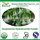 Natural Plant Extract Scopolamine 99%