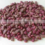 Kitten Food Dry Cat Food thumbnail-1