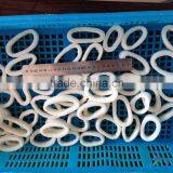 2016 Hot Sale High Quality Illex Squid Ring From China thumbnail-3