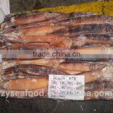 Hot Selling Frozen Argentina Squid thumbnail-1