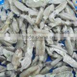 Frozen Seafood Baby Squid thumbnail-1