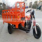 Cargo Tricycle/ Tricycle for Sale in Philippines/ 3 Wheeler Hot Sale in Philippines thumbnail-1