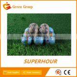 Golf Earth Ball thumbnail-5