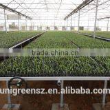 Seedbed for Greenhouse Nursery House thumbnail-1