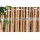 Natural White Fern Fence thumbnail-6