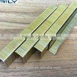 Best Price Staples for gs Stapler, 14 Series 4-14mm Staples, Galvanized Gold Colored Staples