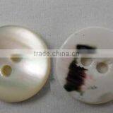 Shell Buttons for Shirt