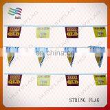 Durable Triangle Fabric Bunting Flags for Swimming Club thumbnail-2