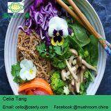 Detan Agrocybe Cylindracea Fresh Mushroom thumbnail-5